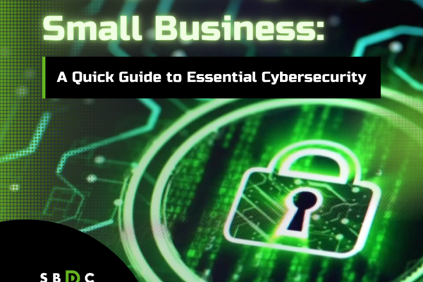 Safeguard your small business: a rapid guide for essential cybersecurity
