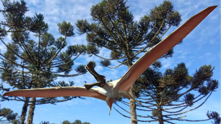 Microstructures in pterosouric bones inspire aircraft engineering and a “revolution” in Paleo-Biomimetics