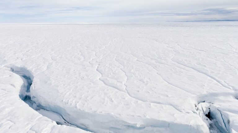 The ice earthquakes discovered kilometers within the ice current in Greenlandia