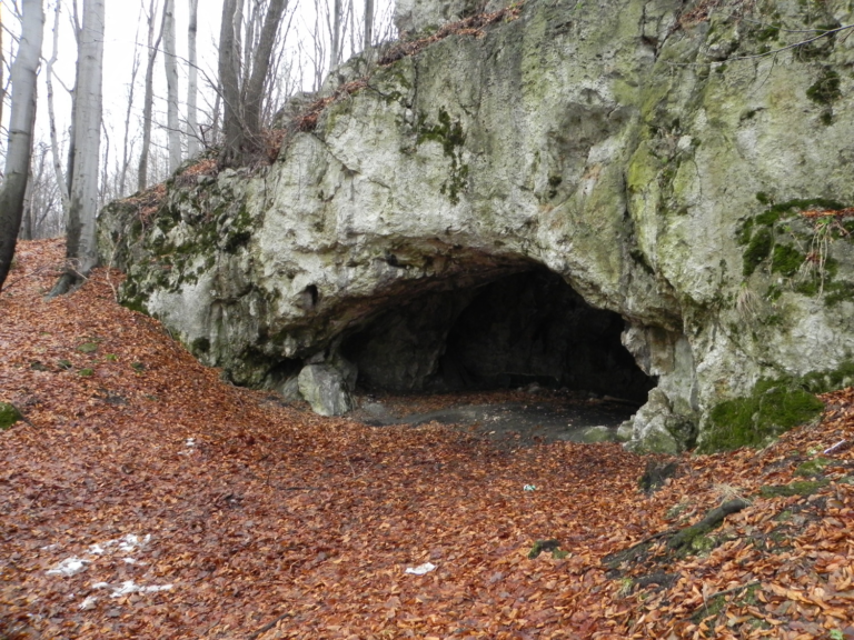 Ice age Europeans ate their enemies about 18,000 years ago