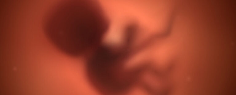 His risk of cancer could fluctuate even before birth: Sciencealert