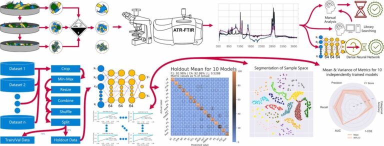 The AI ​​program could help address the global microplastics challenge