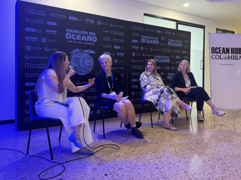 AGU in COP29 and CBD16: connecting biodiversity and climatic action
