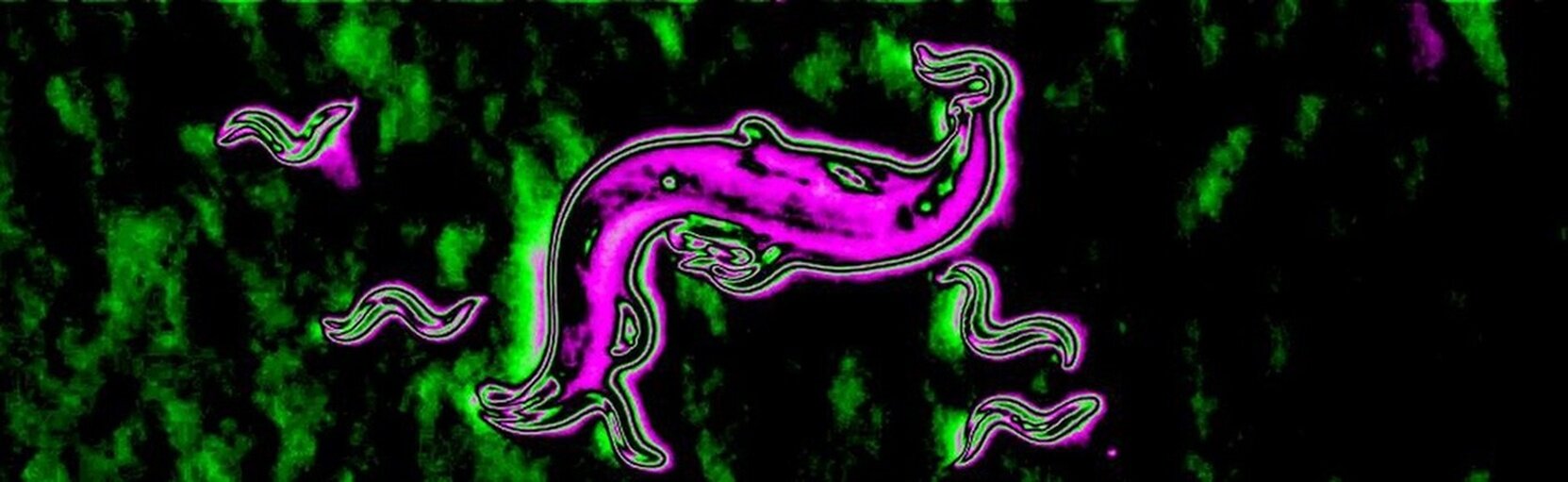 The chemistry of the worm surface reveals secrets for its development and survival