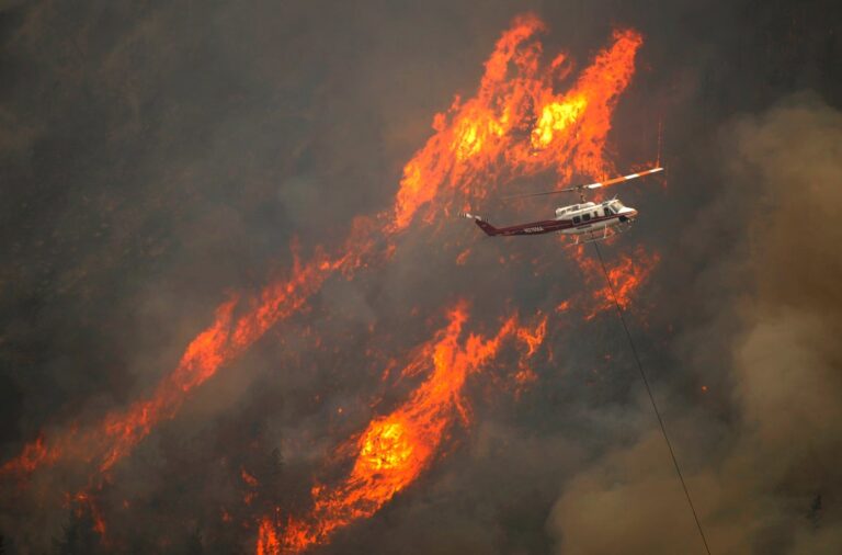 As Trump and DEGE federal subsidies block, forest fire prevention projects are at risk