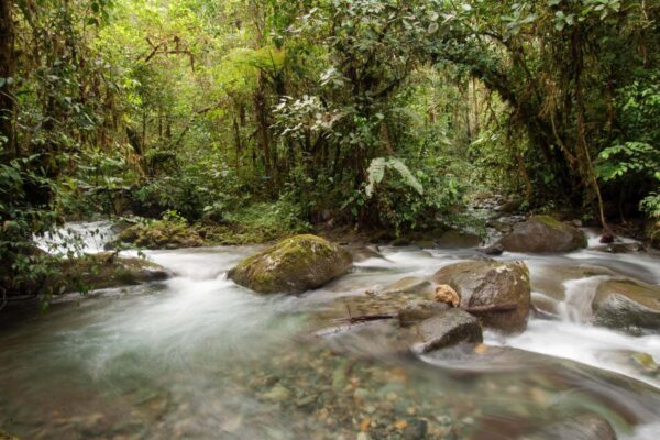 Is a river alive? Review: Robert Macfarlane is wrong to broadcast rivers as a way of life in the new book