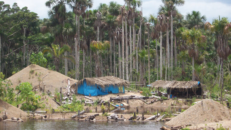 Artisanal Gold Mining is destroying Amazonian boobs