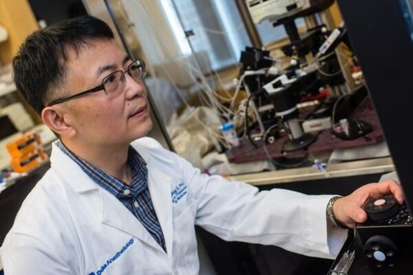 The new drug pain is directed to nerve receptors, without ignoring the addiction pathway
