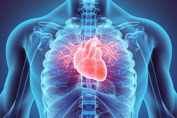 Surprising health risk: “normal” sodium levels linked to heart failure