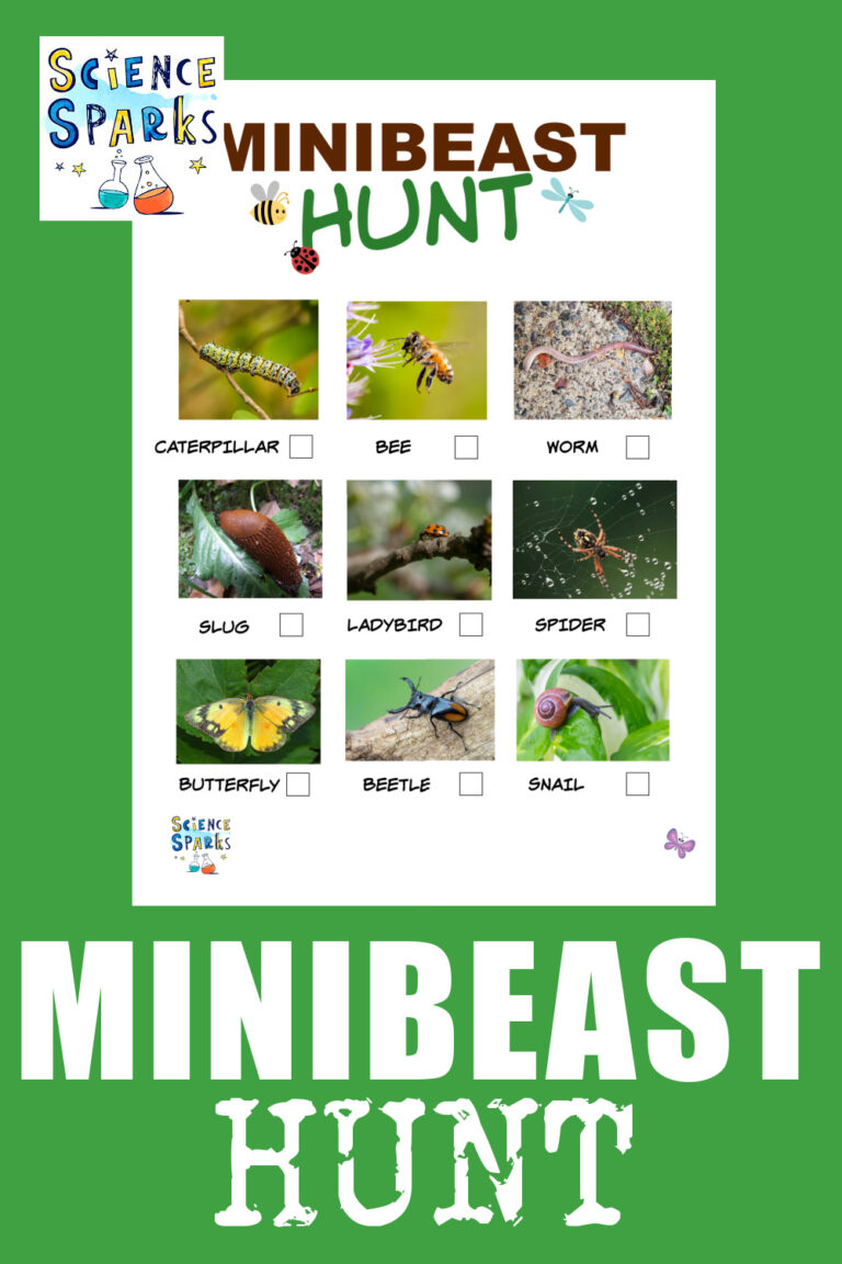 Superior Miniberset Hunt tips