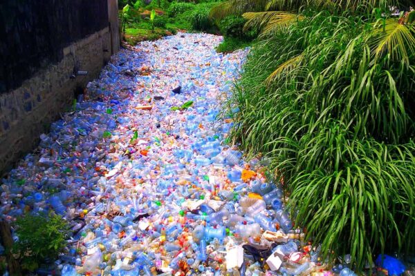 A massive study has just proved that plastic bag prohibitions really work