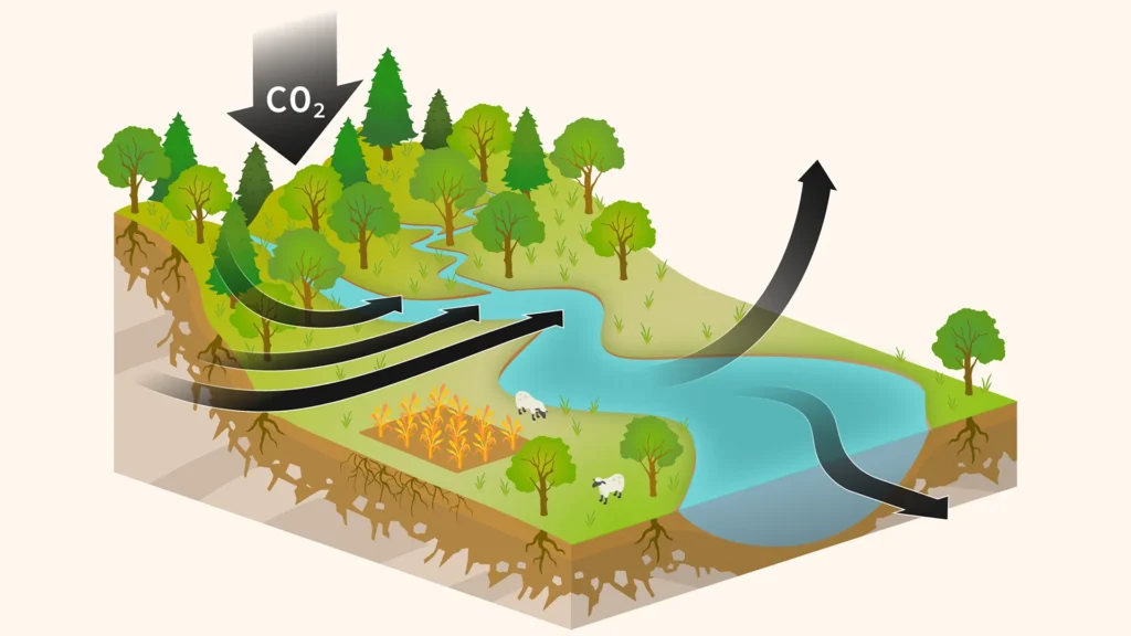 The rivers are exhaling ancient carbon, and climatic mathematics just changed