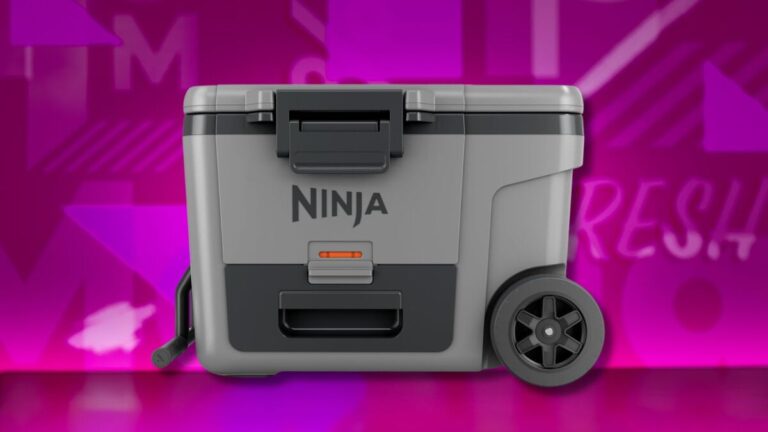 Best Ninja offer: Save $ 50 at the FrostVault 45QT refrigerator