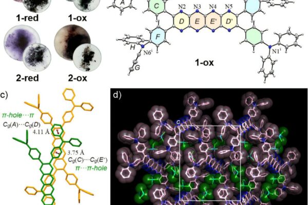 Redox switching dyes offer tunable fluorescence for advanced bioimaging and optical applications