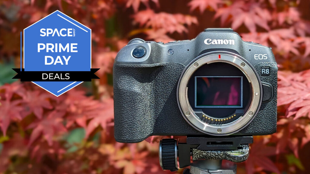 Canon fans pay attention! Anti-process offers give hundreds of higher models, including R8, R5 II and R6 II