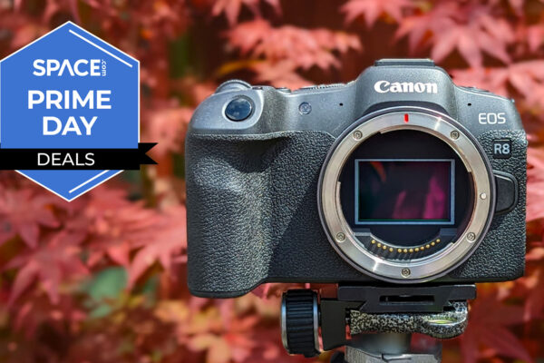 Canon fans pay attention! Anti-process offers give hundreds of higher models, including R8, R5 II and R6 II