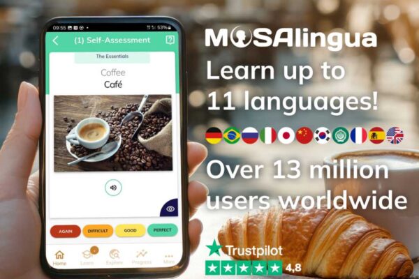 Get fluidity quickly with a great discount on the Mosalingua application