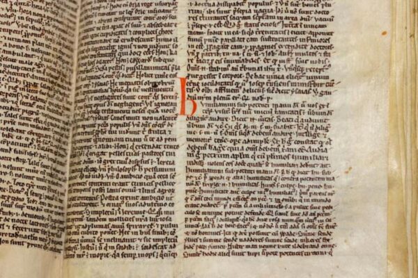 The meme of a medieval preacher helps solve a 130 -year -old literary mystery
