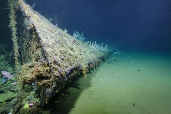War ship ships in the United States by the Japanese torpedo finally found in the South Pacific
