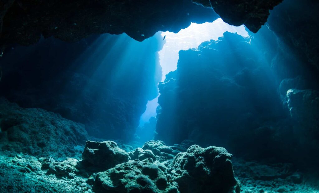 Strange ‘giant’ found 6 km deep in the Pacific: scientists stunned for what is