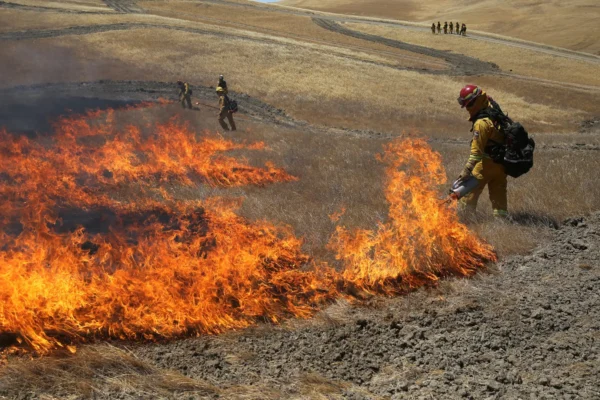 Combat fire with fire: how prescribed burns reduce the damage of forest fires and pollution