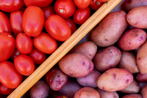 Potatoes have their roots in ancient tomatoes