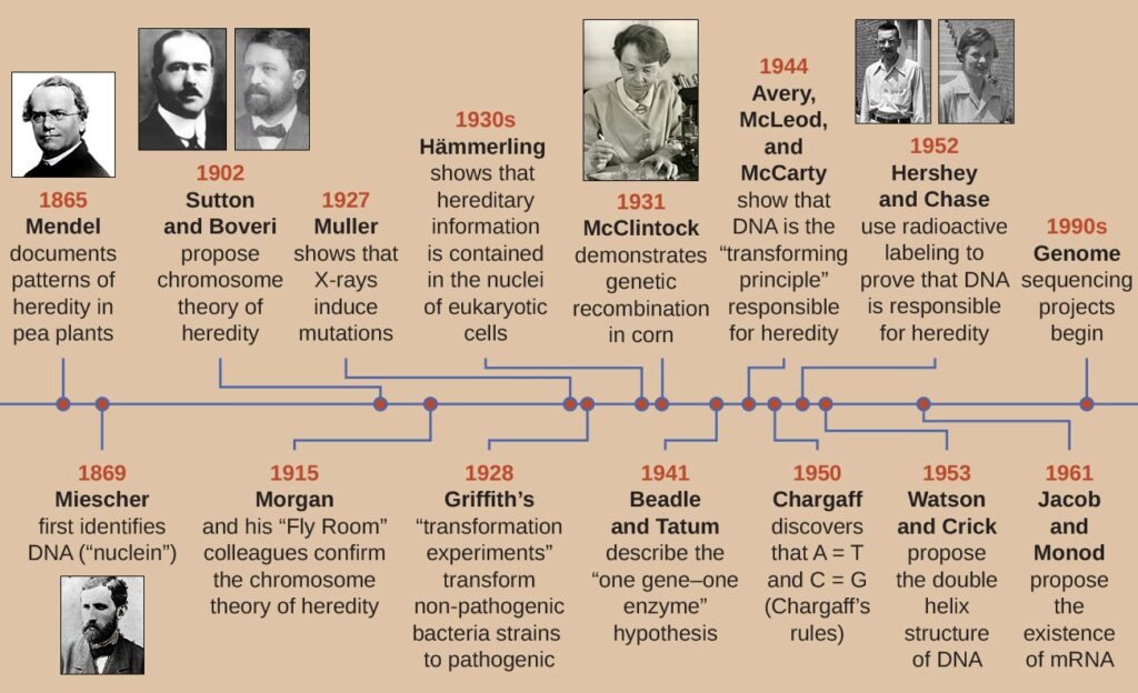 Decade's Most Astonishing Research Discoveries