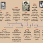 Decade's Most Astonishing Research Discoveries