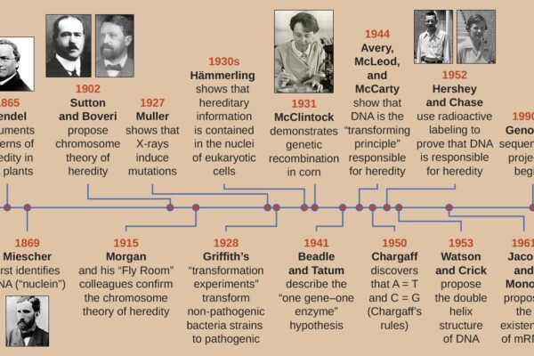 Decade's Most Astonishing Research Discoveries