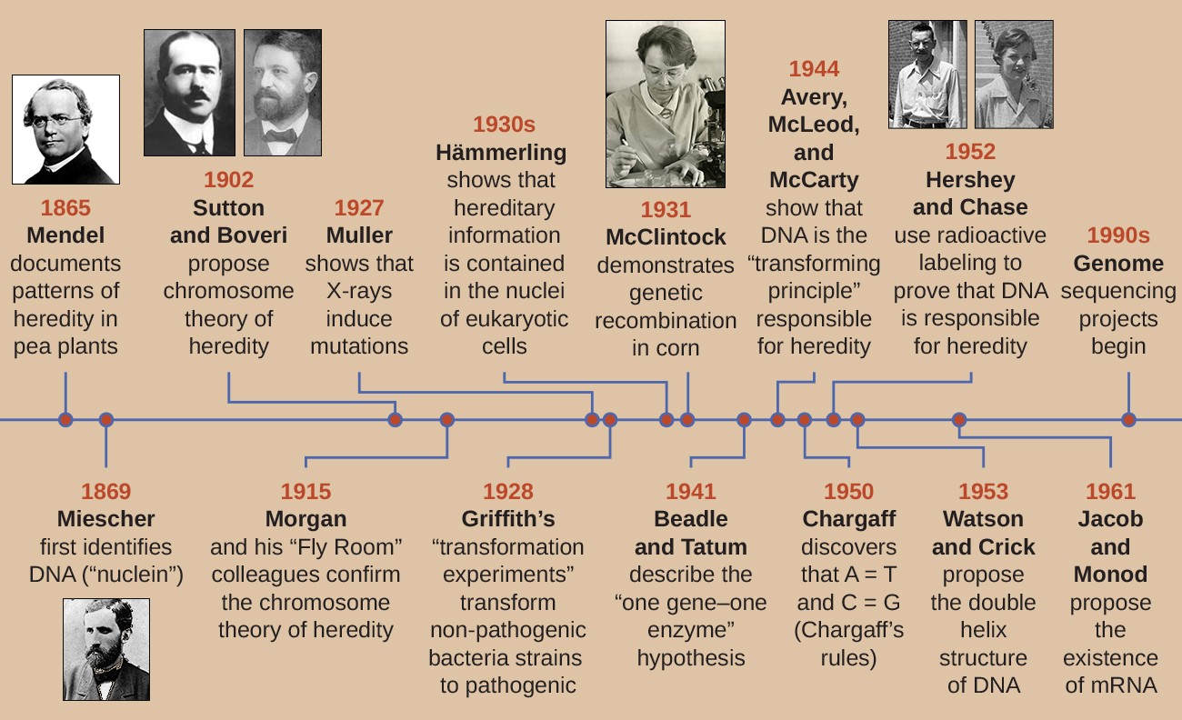 Decade's Most Astonishing Research Discoveries