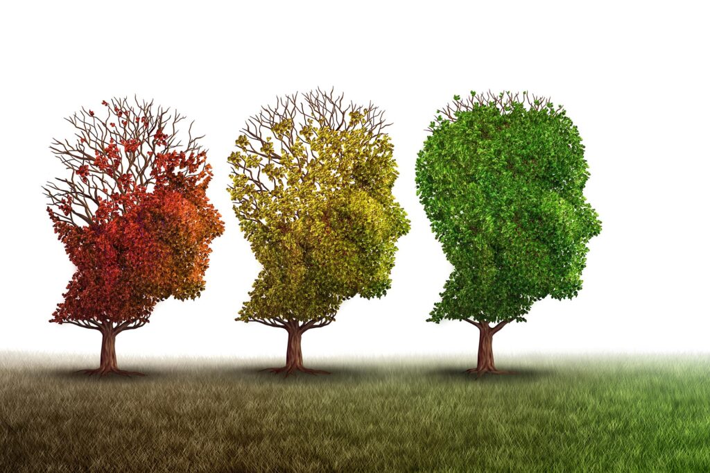 The blockade of this protein restores aging brains