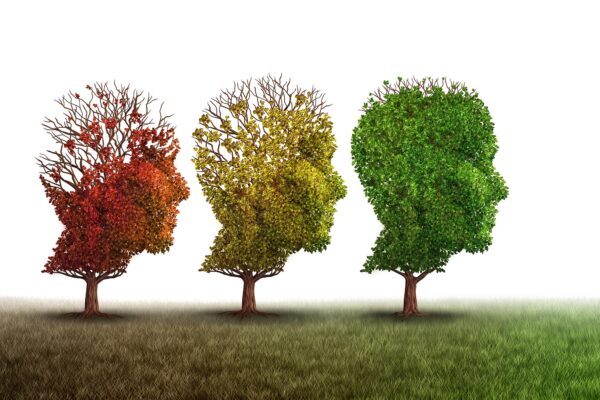 The blockade of this protein restores aging brains