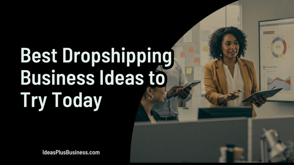 23 mejores ideas de negocios de dropshipping para probar hoy