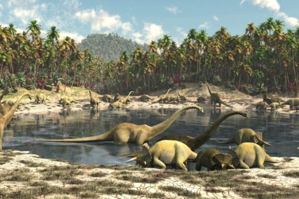 Fossilized teeth offer clues about the favorite meals of dinosaurs about 150 million years ago