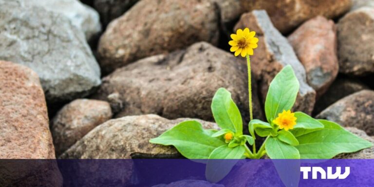 Why resilience is the most underrated metric for startup success