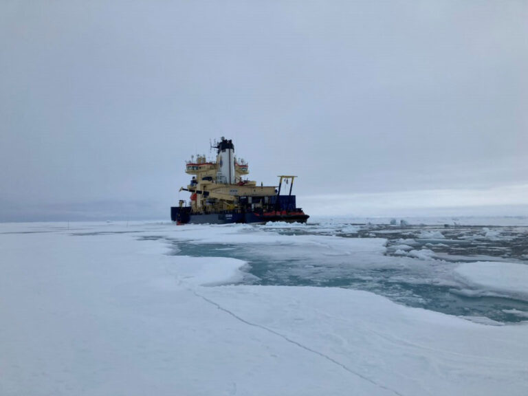 “We were wrong”: Scientists find hidden phenomenon that could trigger a boom in marine life