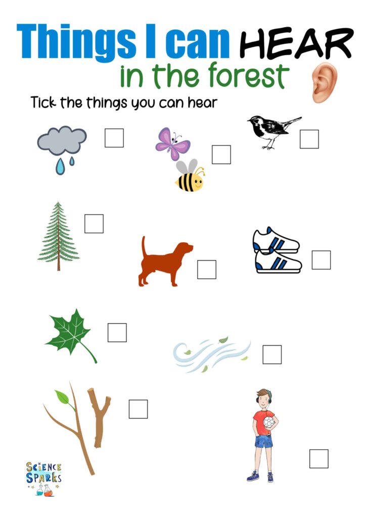 Things I Can Hear Worksheet
