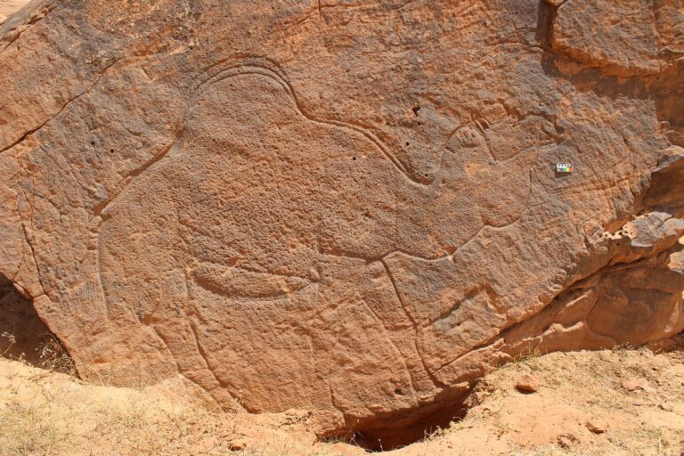 Rock art discovery reveals unknown Arab nomads from 12,000 years ago