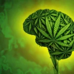 Your DNA can shape the way you consume cannabis