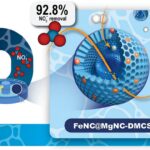 Double-layer carbon spheres drive cleaner conversion of nitrate to nitrogen