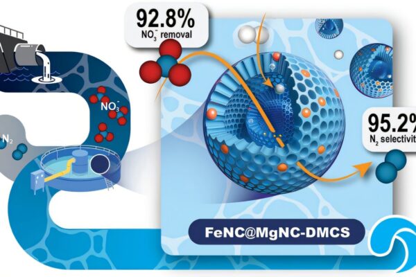 Double-layer carbon spheres drive cleaner conversion of nitrate to nitrogen