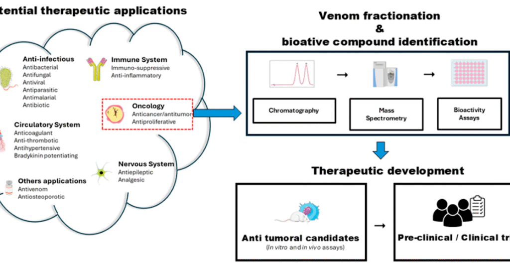 A comprehensive proteomic analysis and therapeutic potential