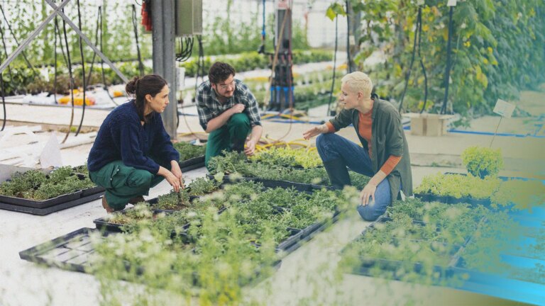 Why prioritizing sustainability can help your retail business grow