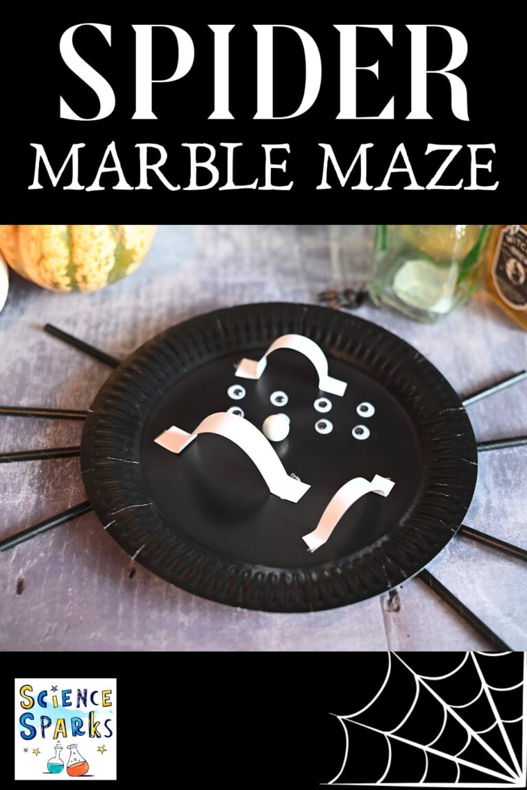 Easy Spider Paper Plate Marble Maze