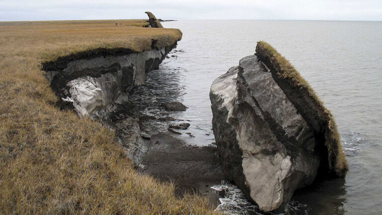 In Arctic soils, methane-eating microbes could outcompete methane producers